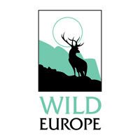 Cyril Kormos joins Wild Europe Board of Trustees