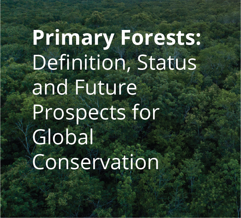 Primary Forests - Definition Status and Future Prospects for Global Conservation