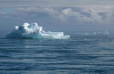 melting iceberg