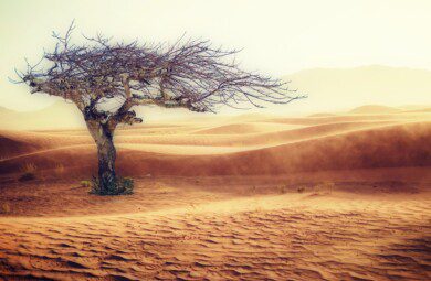 dry desert