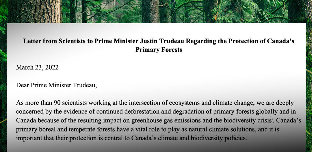 Nearly 100 Scientists Call on the BC Government to Protect Primary Forests