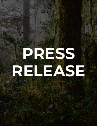 Press Release: Oversight Hearing to Examine Whether Efforts to Thin Forests to Reduce Fire Risks are Failing at Scale