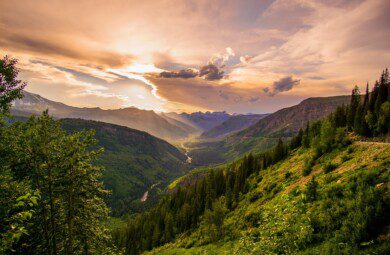 mountains and forests