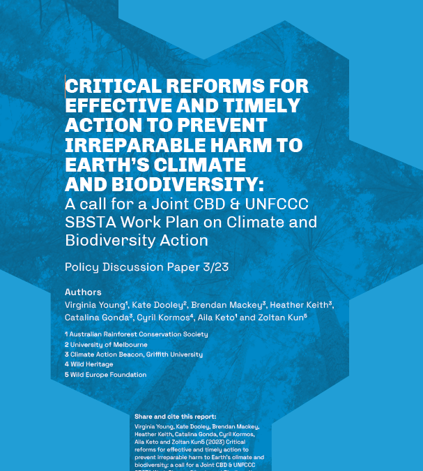 See our new publication on climate and biodiversity policy