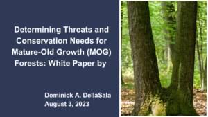 Determining Threats and Conservation Needs for Mature-Old Growth (MOG) Forests: White Paper