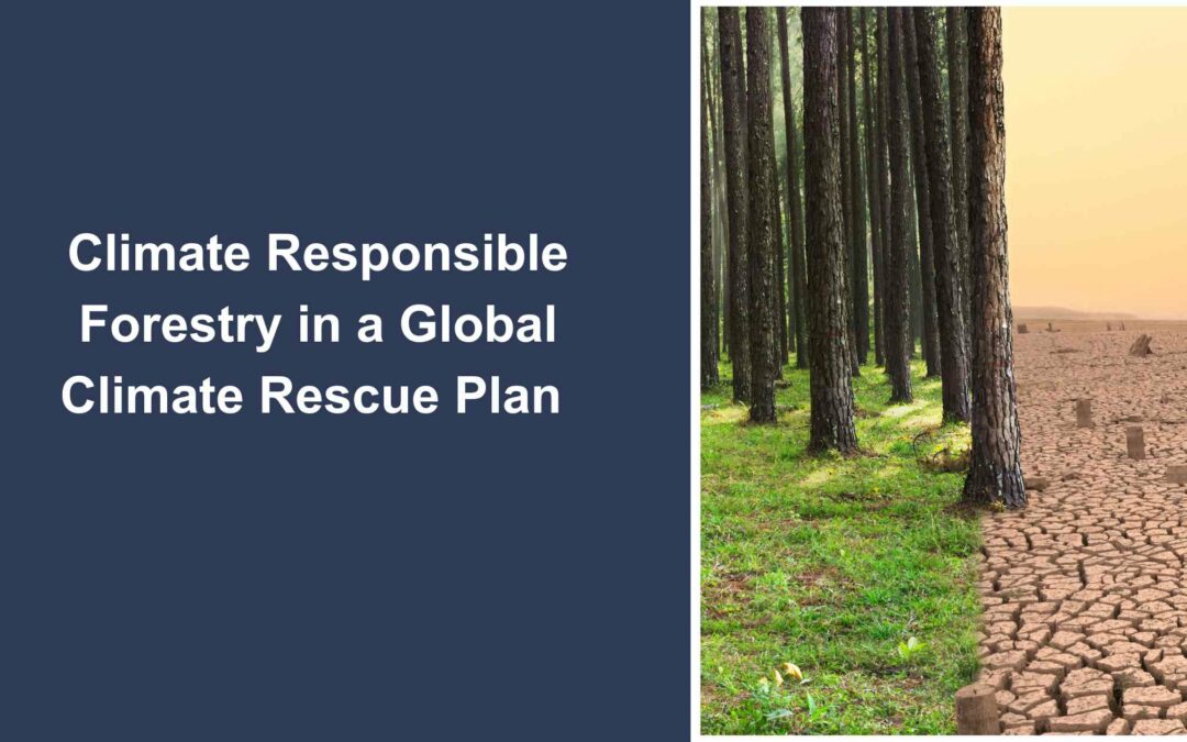 Climate-responsible forestry in Northstar’s Global Climate Rescue Plan