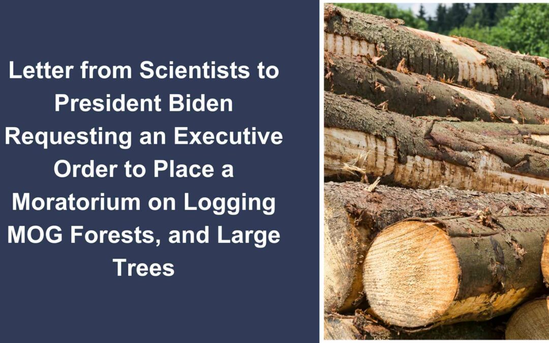 Letter from Scientists to President Biden Requesting Moratorium on Logging of MOG and Large Trees