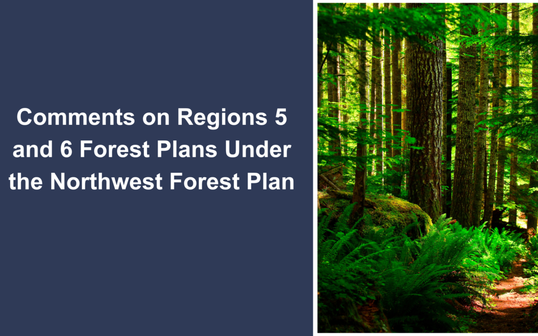 Comments On Notice of Intent To Amend Region 5 And 6 Forest Plans Under The Northwest Forest Plan