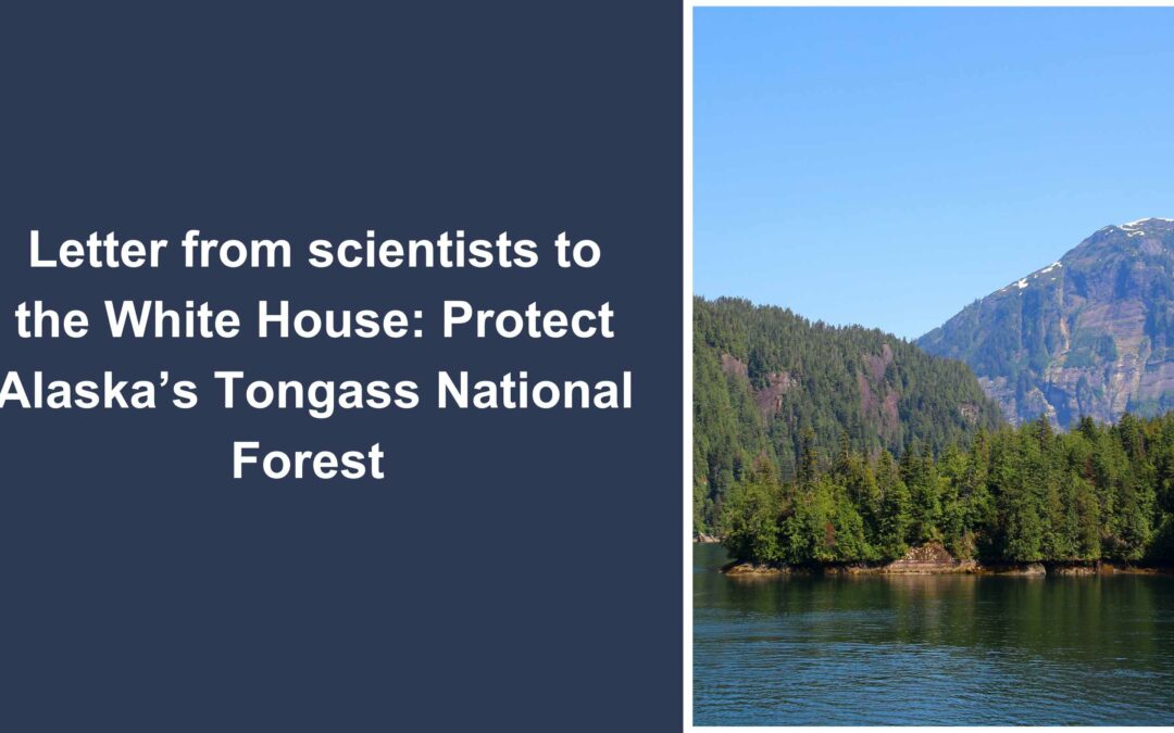 Scientists call on the White House to protect Alaska’s Tongass National Forest