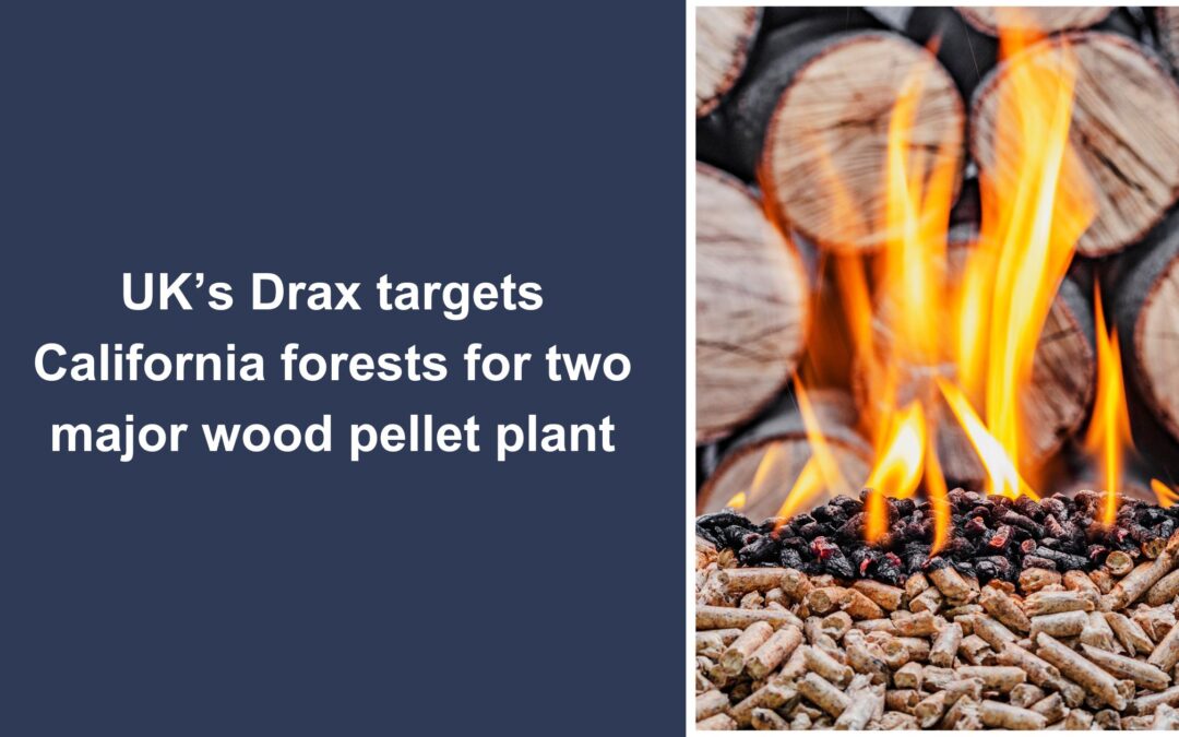 UK’s Drax targets California forests for two major wood pellet plants