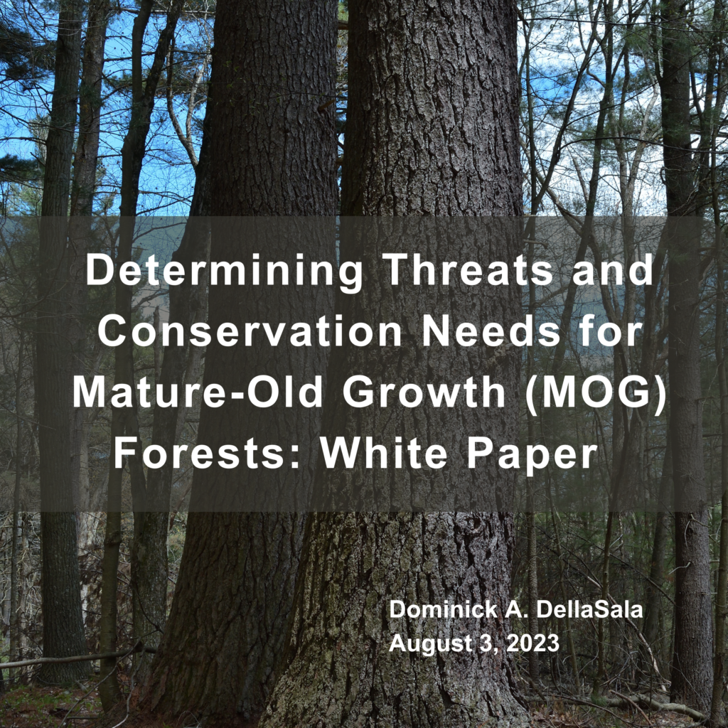 Determining-MOG-Threats-White-Paper