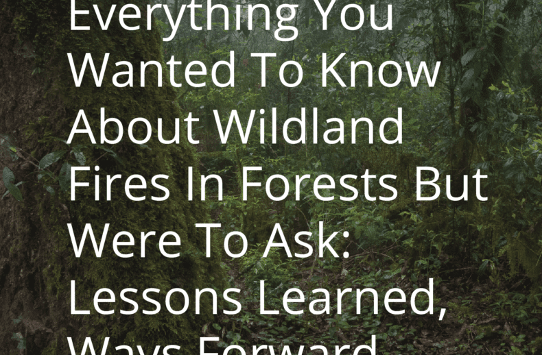 Everything-You-Wanted-To-Know-About-Wildland-Fires-In-Forests-But-Were-To-Ask-Lessons-Learned-Ways-Forward