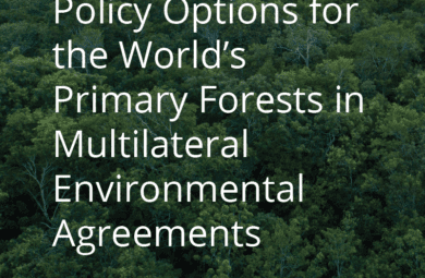 Policy-Options-for-the-World’s-Primary-Forests-in-Multilateral-Environmental-Agreements