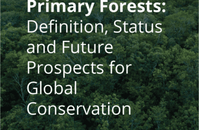 Primary-Forests-Definition-Status-and-Future-Prospects-for-Global-Conservation