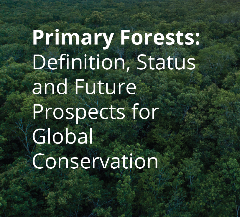 Primary-Forests-Definition-Status-and-Future-Prospects-for-Global-Conservation