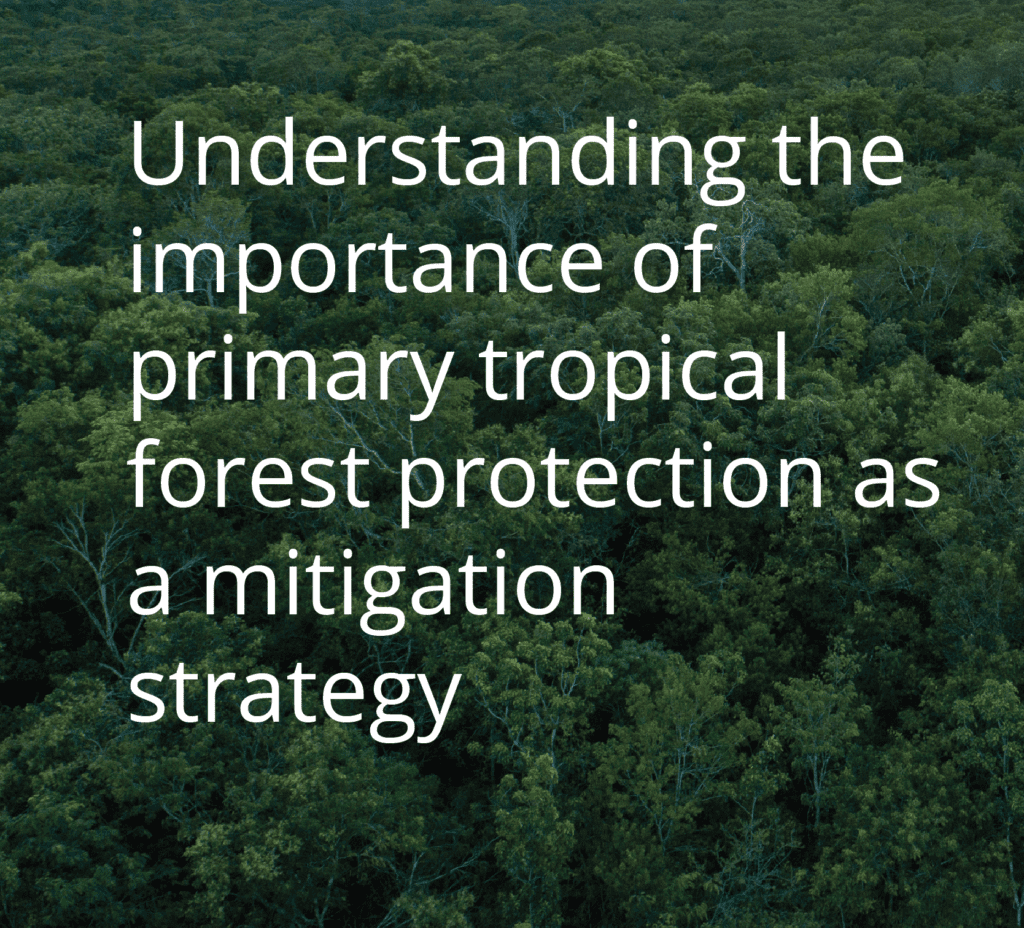 Understanding-the-importance-of-primary-tropical-forest-protection-as-a-mitigation-strategy