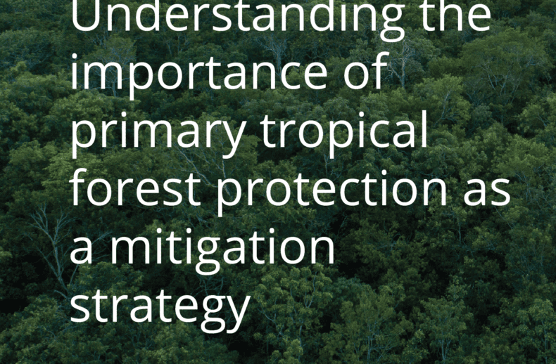 Understanding-the-importance-of-primary-tropical-forest-protection-as-a-mitigation-strategy