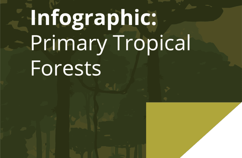 infographic: primary tropical forests