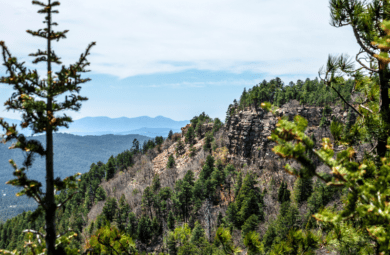 Mogollon Rim